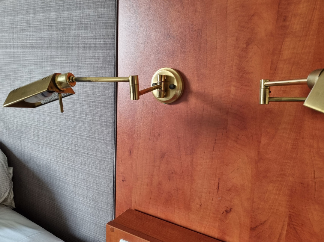 卡塞尔温德姆花园酒店主图