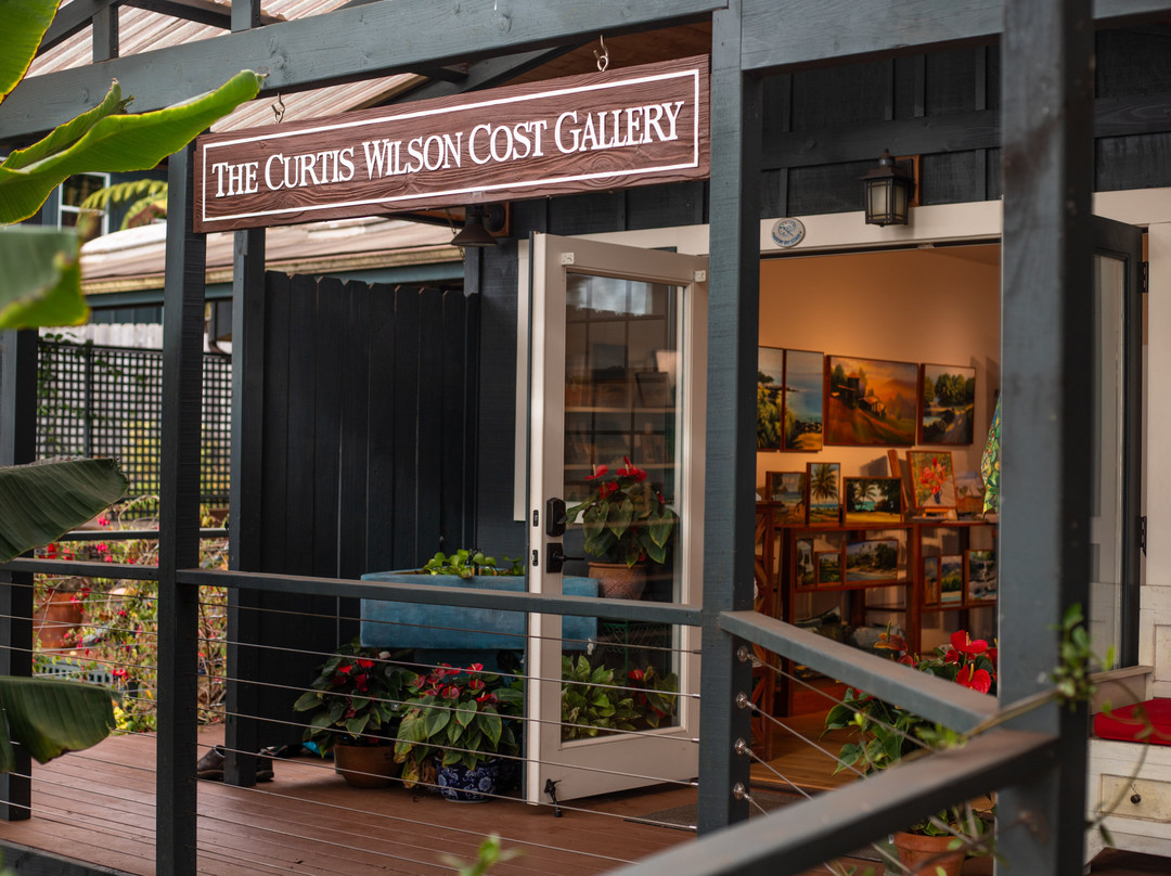 The Curtis Wilson Cost Gallery