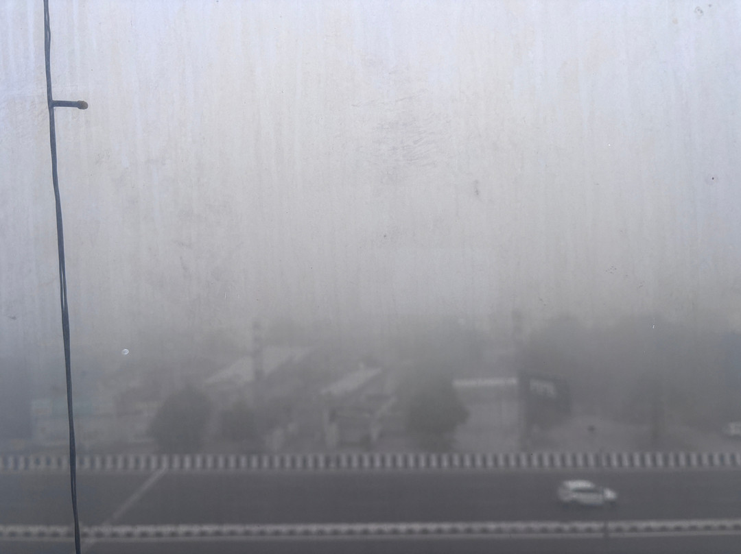 The Palm Court主图