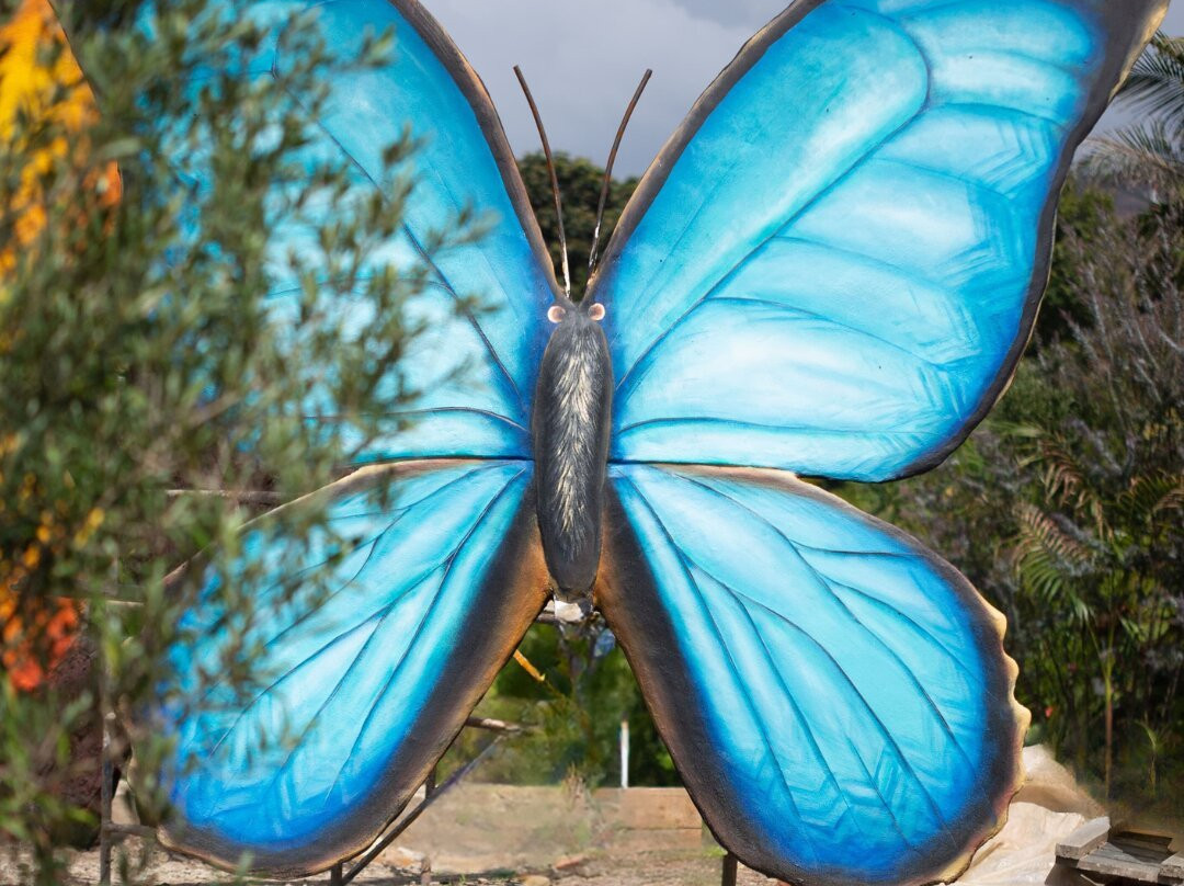 Voalá Mariposario Y Orquideario