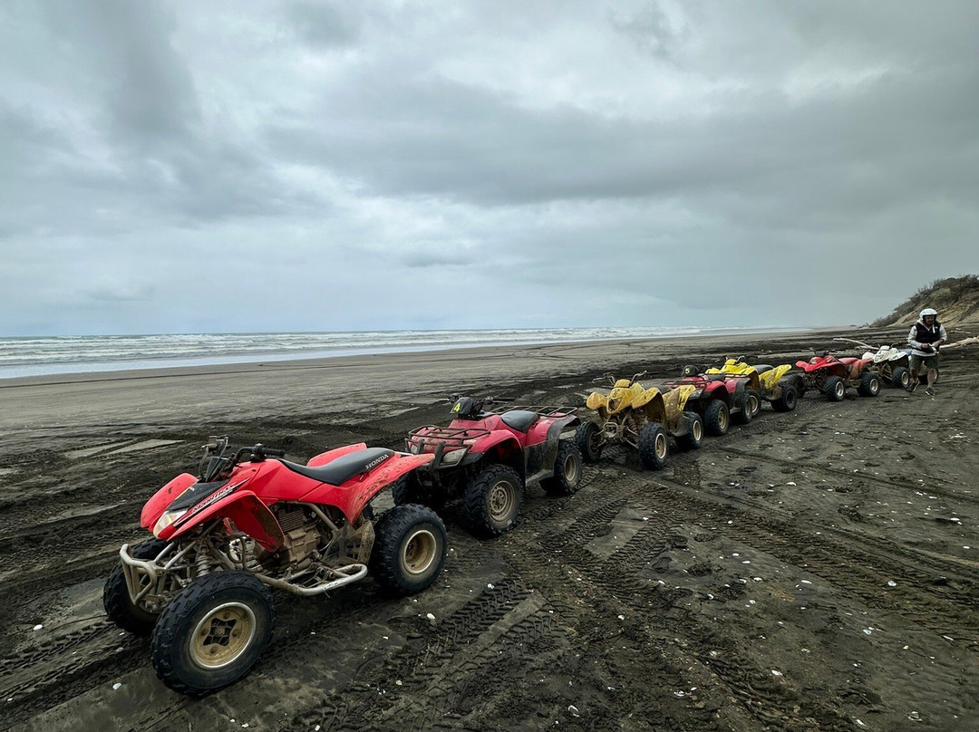 4Track Adventures-奥克兰中心地区必去景点