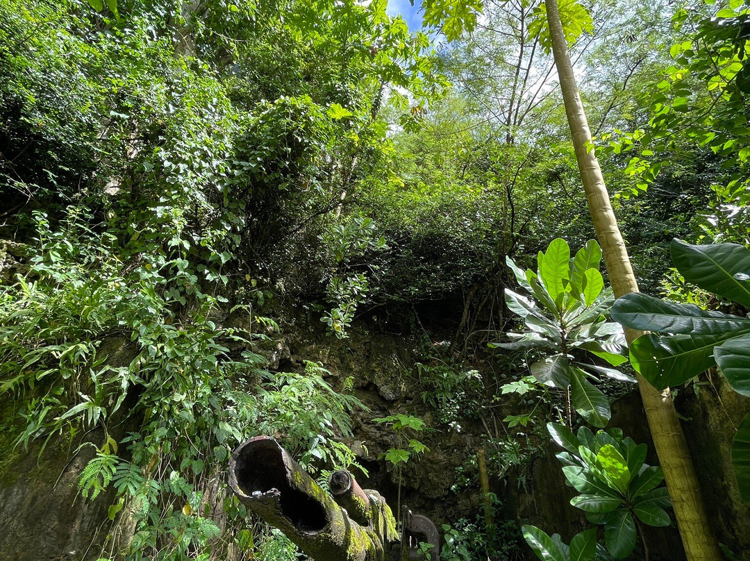 炮滩-塔穆宁必去景点