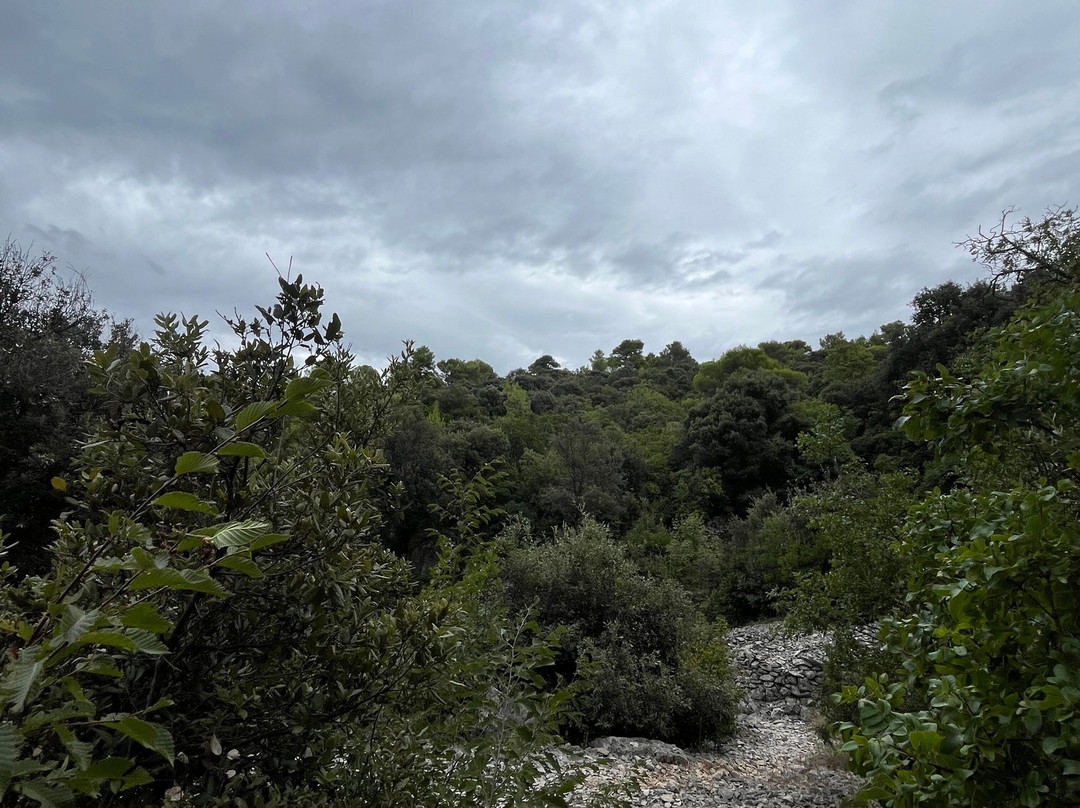Splitska - Herkul - Central Dalmatia Croatia - Theme Trails景点图片