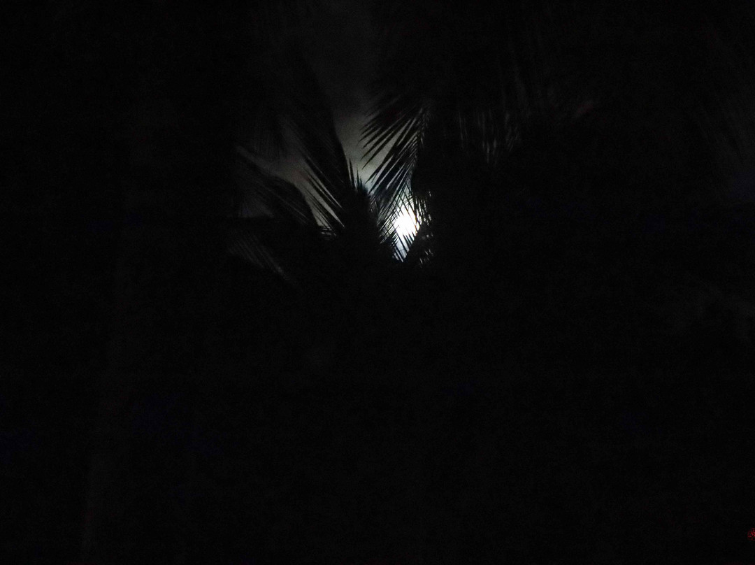 Sterling Anaikatti主图