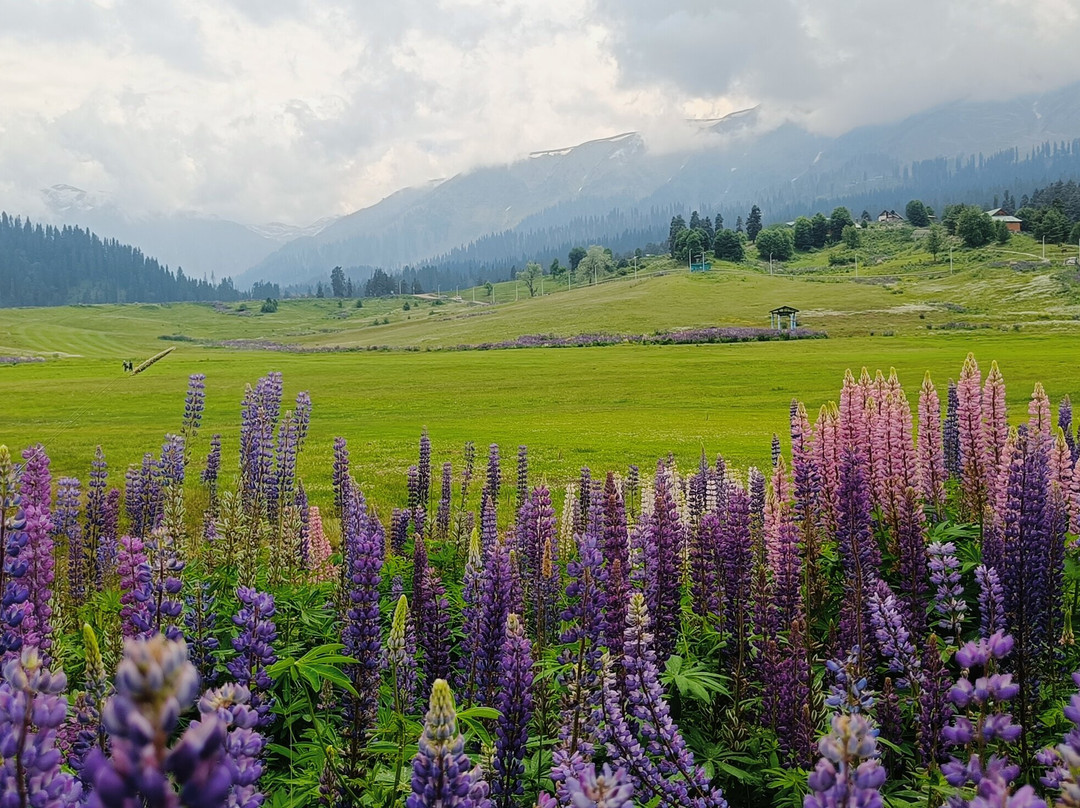 Himalayanhie Adventures景点图片