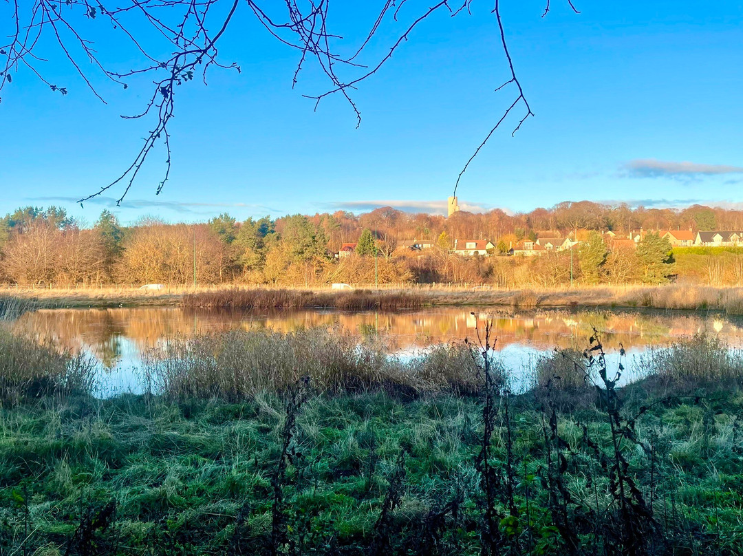 Riverside Nature Park景点图片