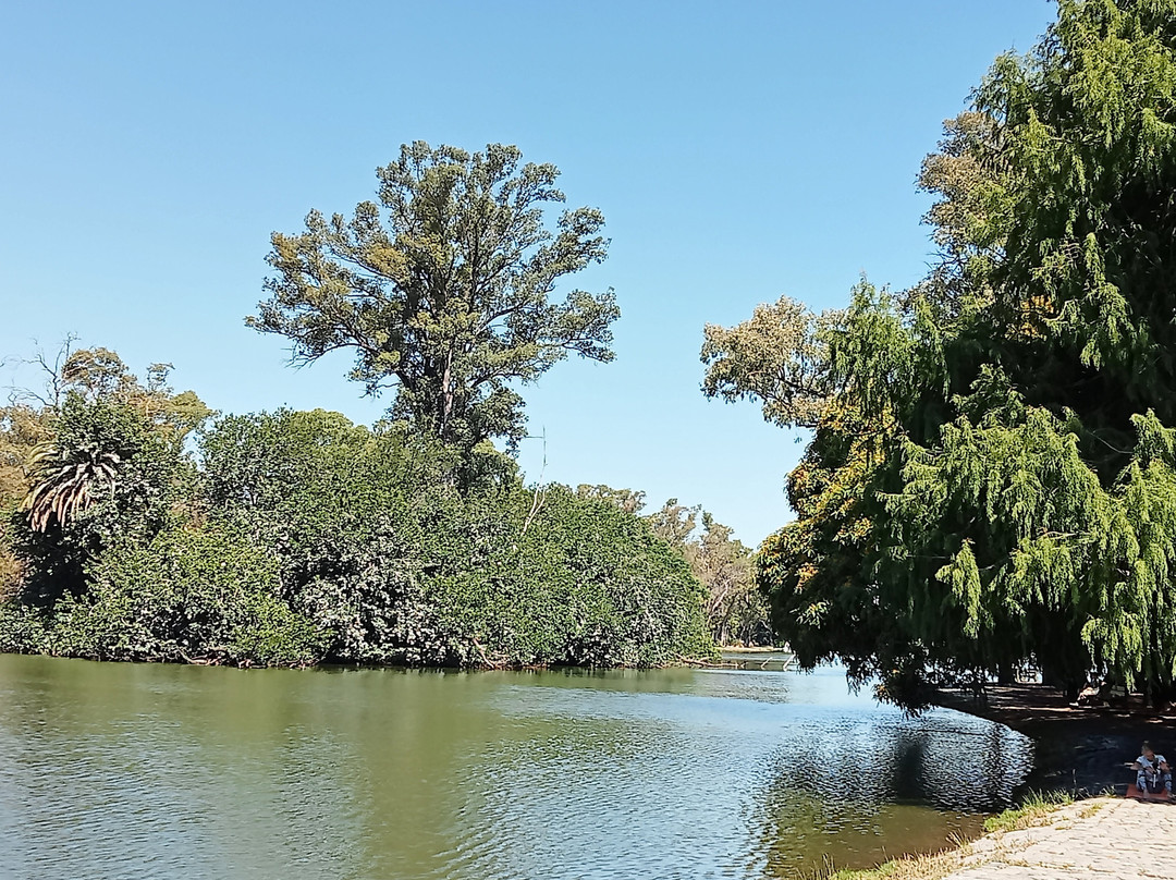 Lago de Regatas-布宜诺斯艾利斯必去景点