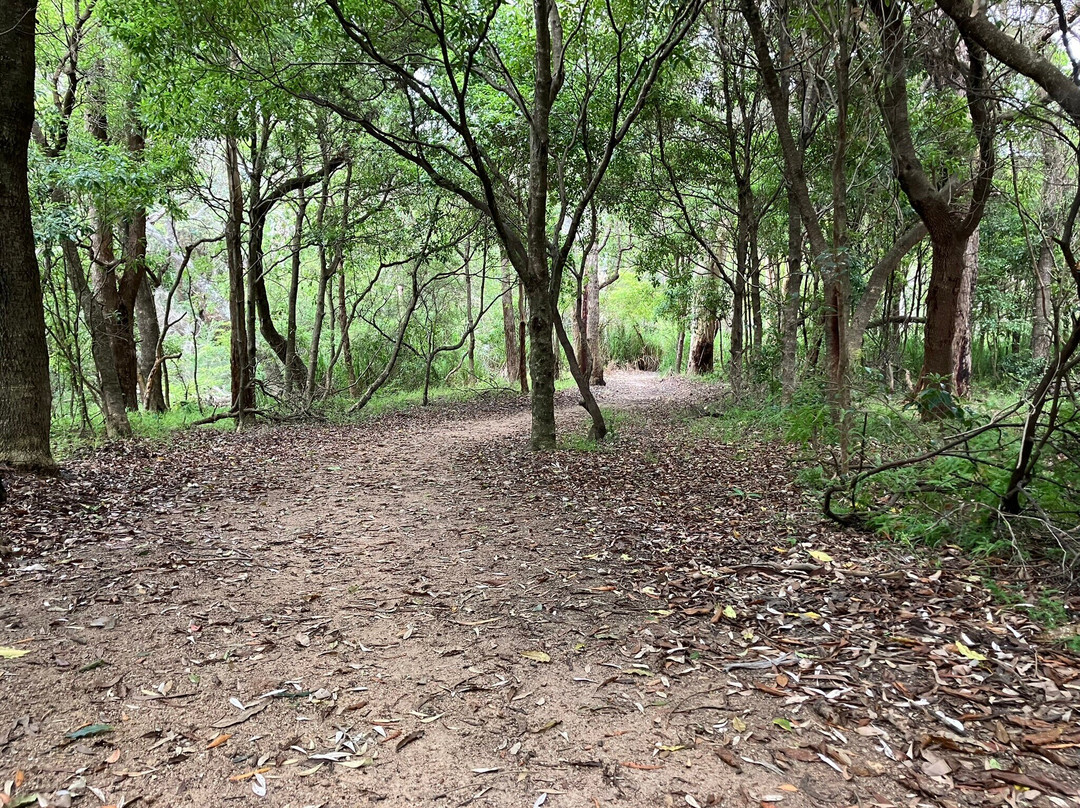 Bundian Way Story Trail-伊登港必去景点