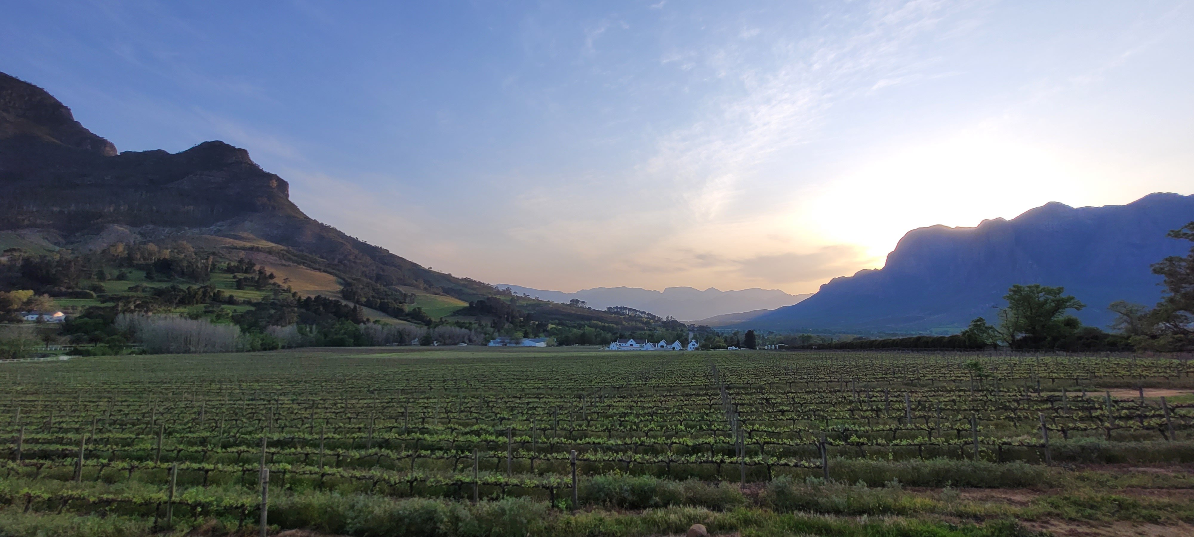Banhoek Lodge-酒店景观