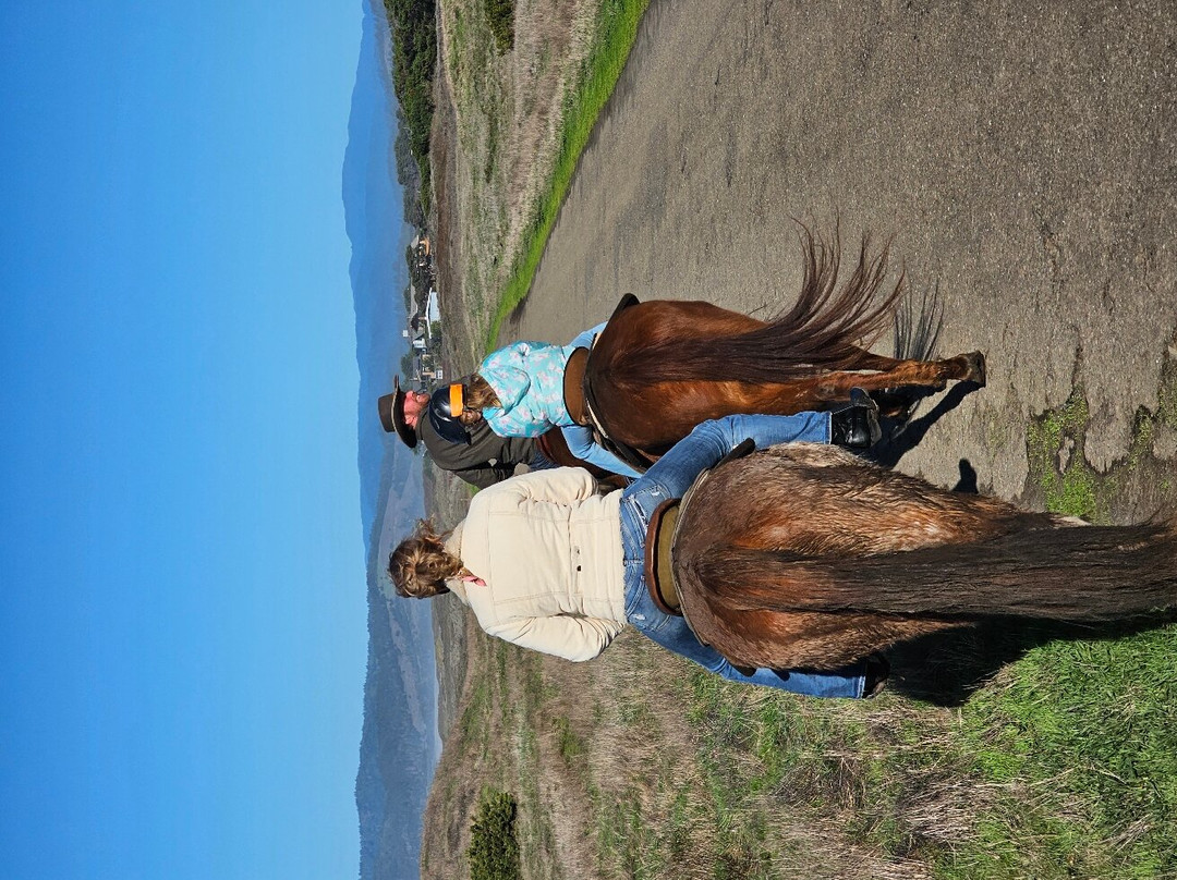 Ricochet Ridge Ranch景点图片