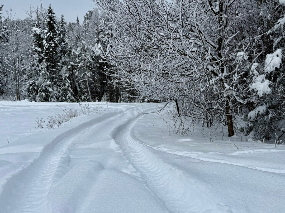 Whiteface Farm Adirondack Bed and Breakfast主图