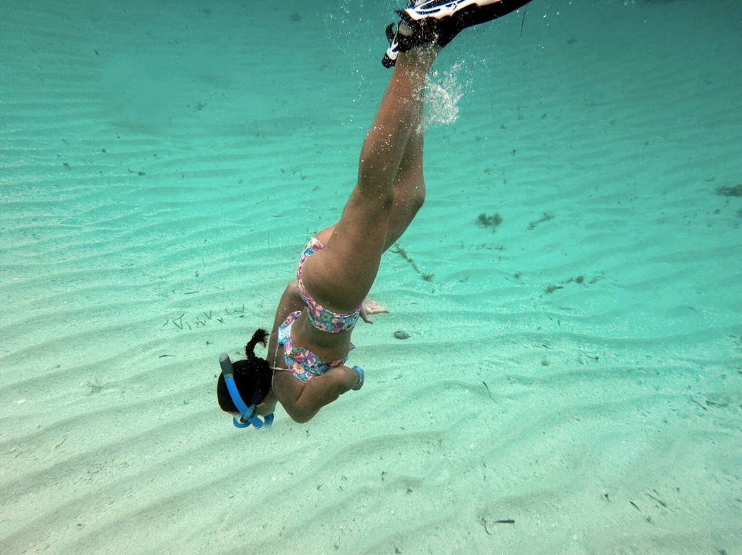 Sea Jay Cruises-格雷斯湾必去景点