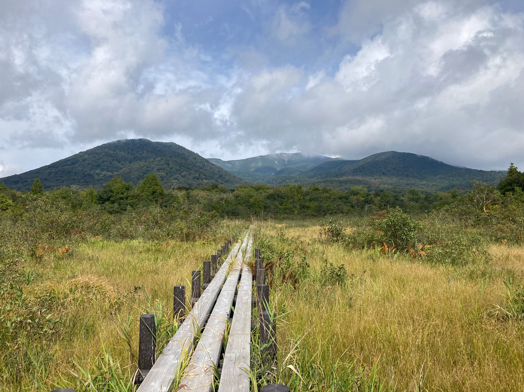 Sekaiyachi Native Flower Trail-栗原市必去景点