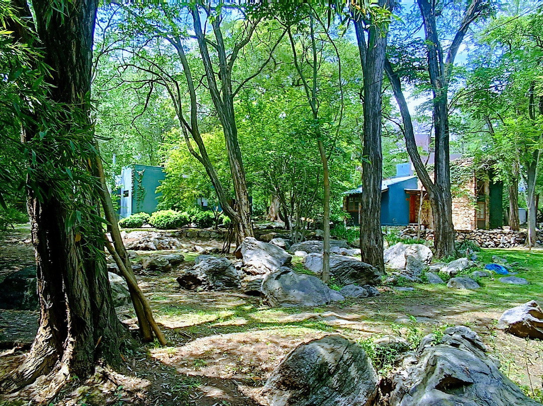 Puesto Victoria主图