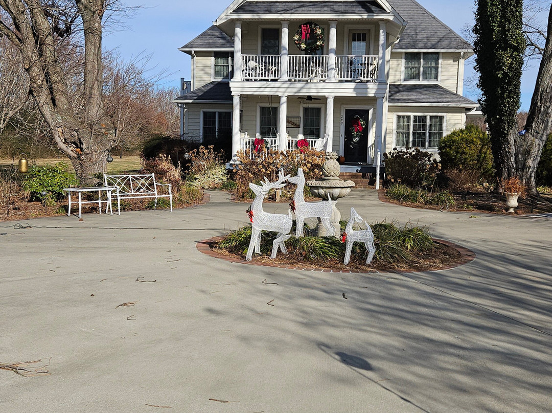 Ma Margaret's House B&B主图