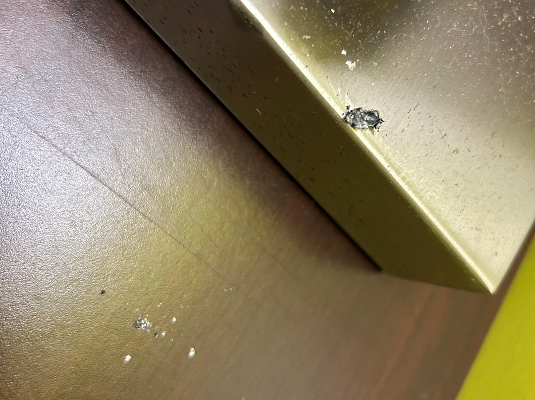 Super 8 by Wyndham Brockville主图