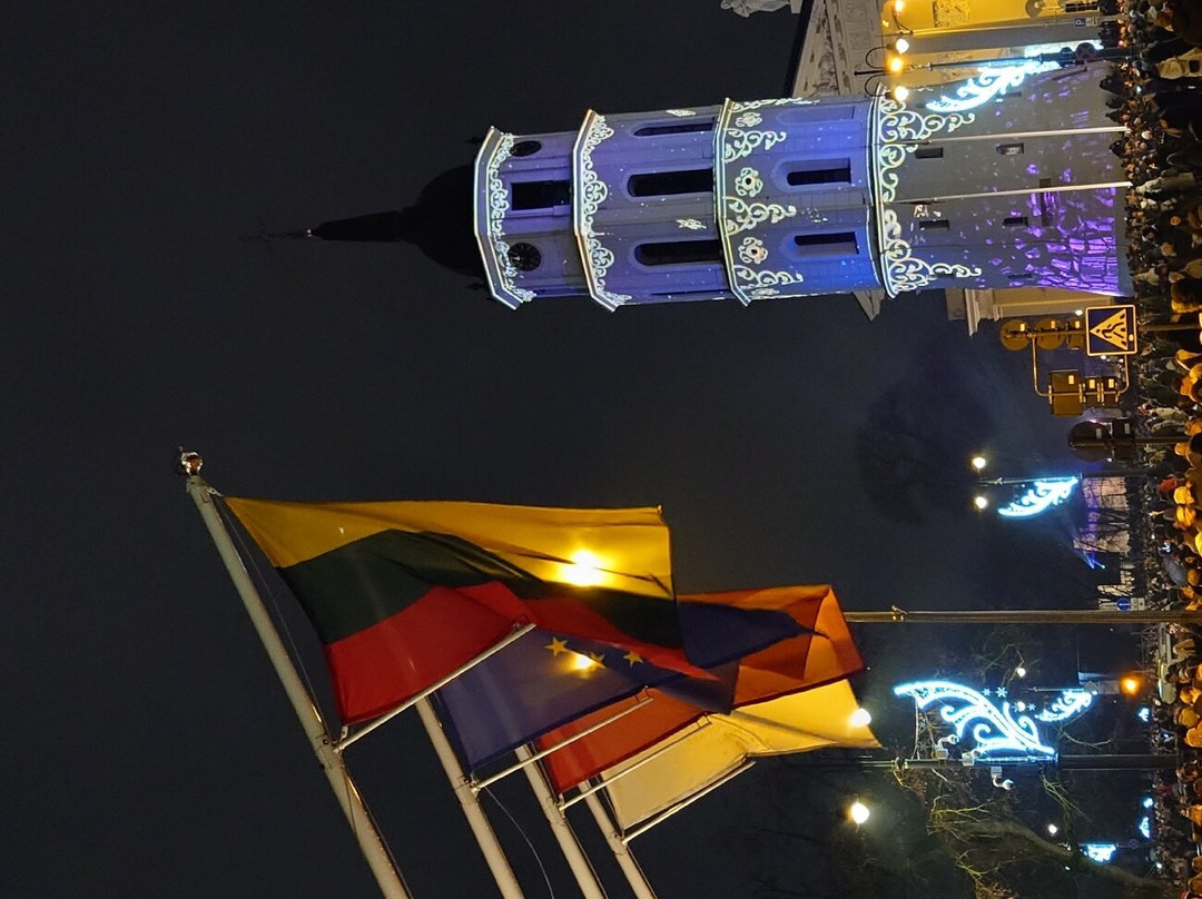 Vilnius Cathedral Square-维尔纽斯必去景点