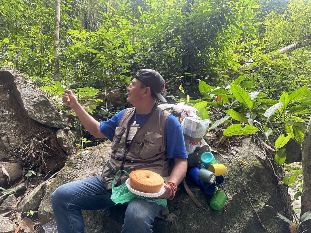 Schomburgk's Peak, Kanuku Mountain Range景点图片
