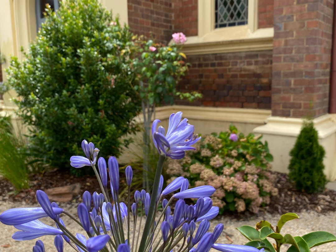 St Andrew's Presbyterian Church - Former-Bairnsdale必去景点