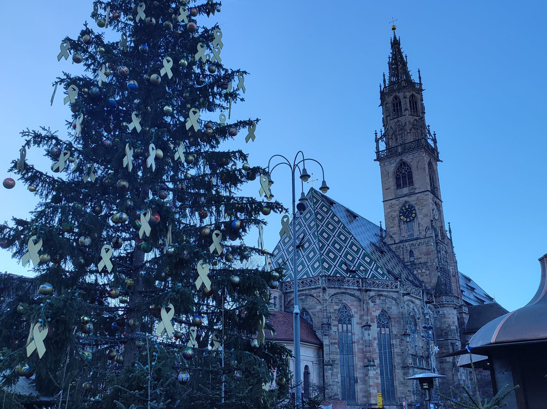 Bolzano Christmas Market景点图片
