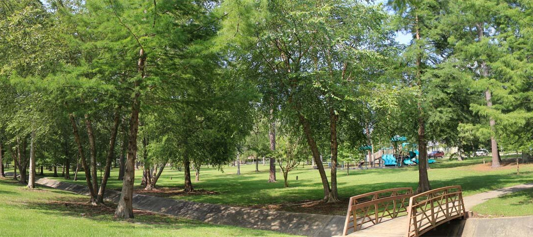 Robinson Park景点图片