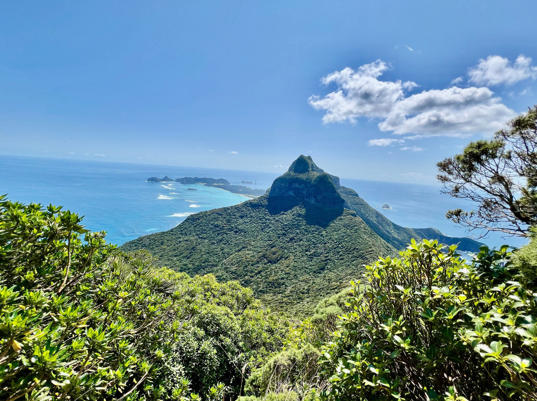 Mt Gower-豪勋爵群岛必去景点
