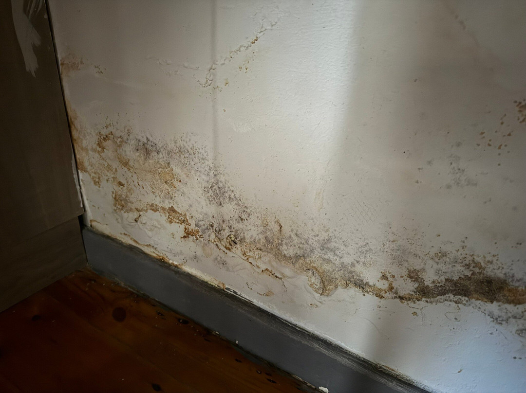 Luxe Musgrave Boutique Hotel