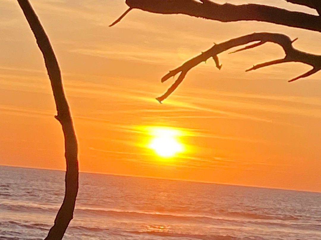 Playa Negra Surf Lodge主图