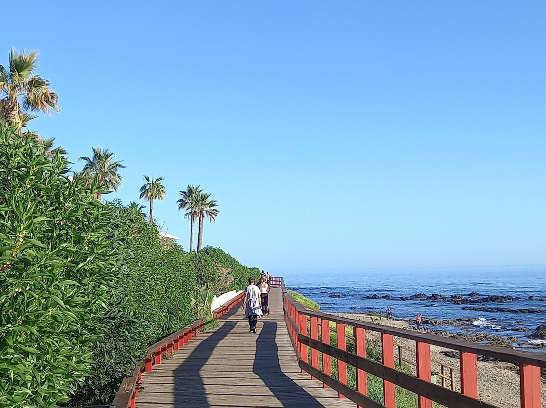 Playa de Calahonda景点图片