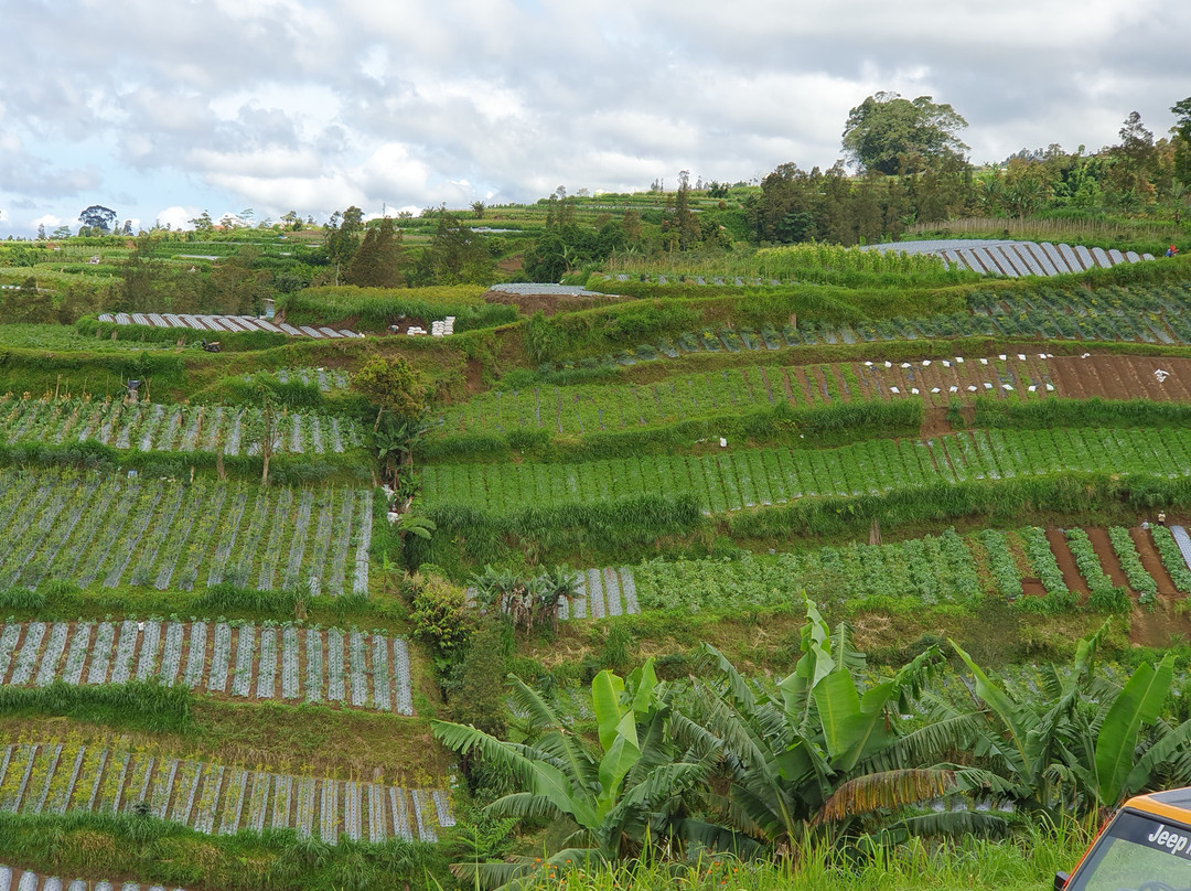 奥玛格林鹏宾馆主图