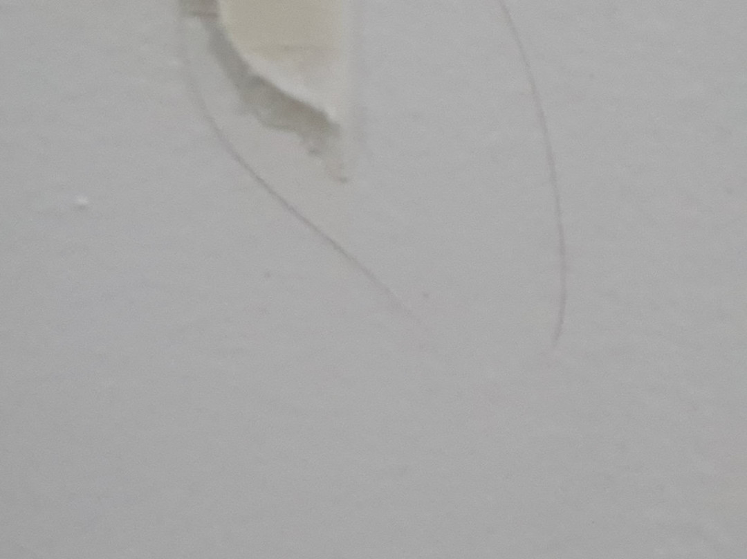 The Grand Hotel主图