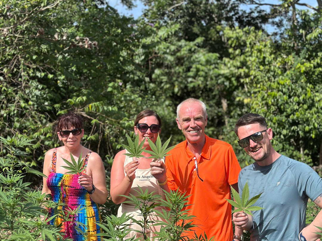 goldings paradise tours-奥乔里奥斯必去景点