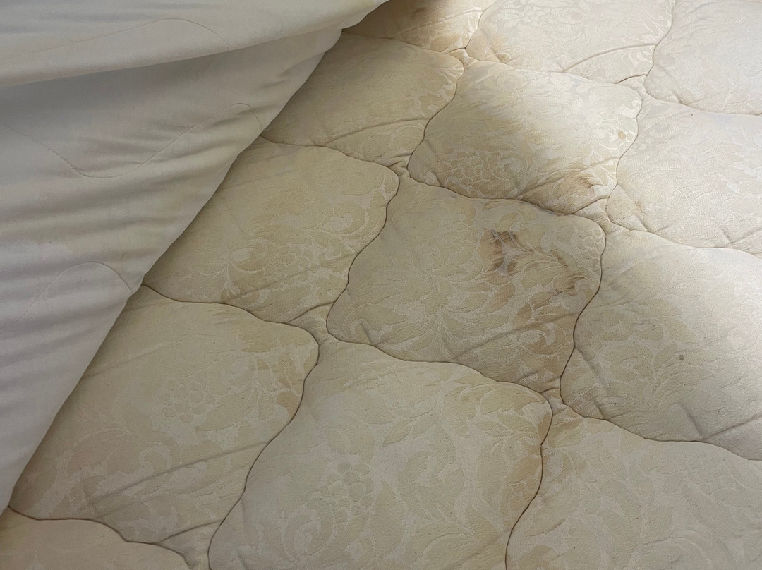 Microtel Inns & Suites by Wyndham Southern Pines / Pinehurst主图