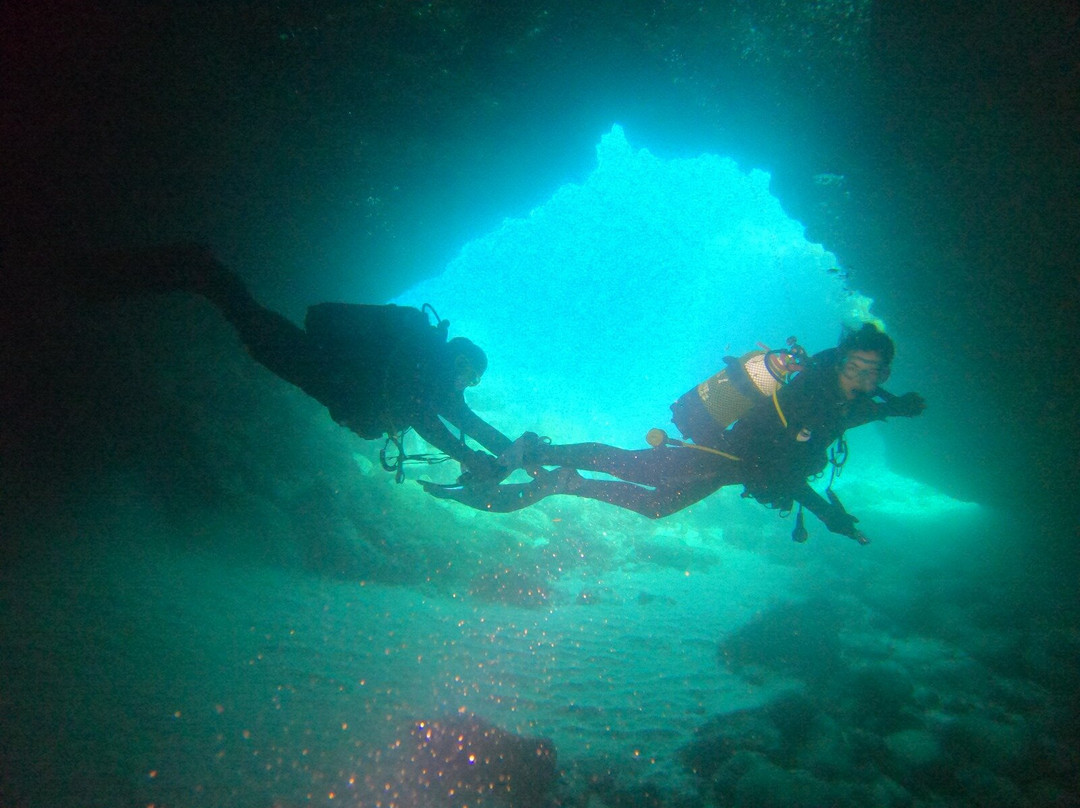 Native Diving Lanzarote-科斯塔特吉塞必去景点
