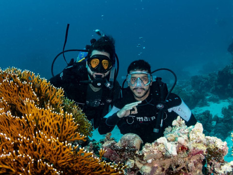 Diveholics-吉达必去景点