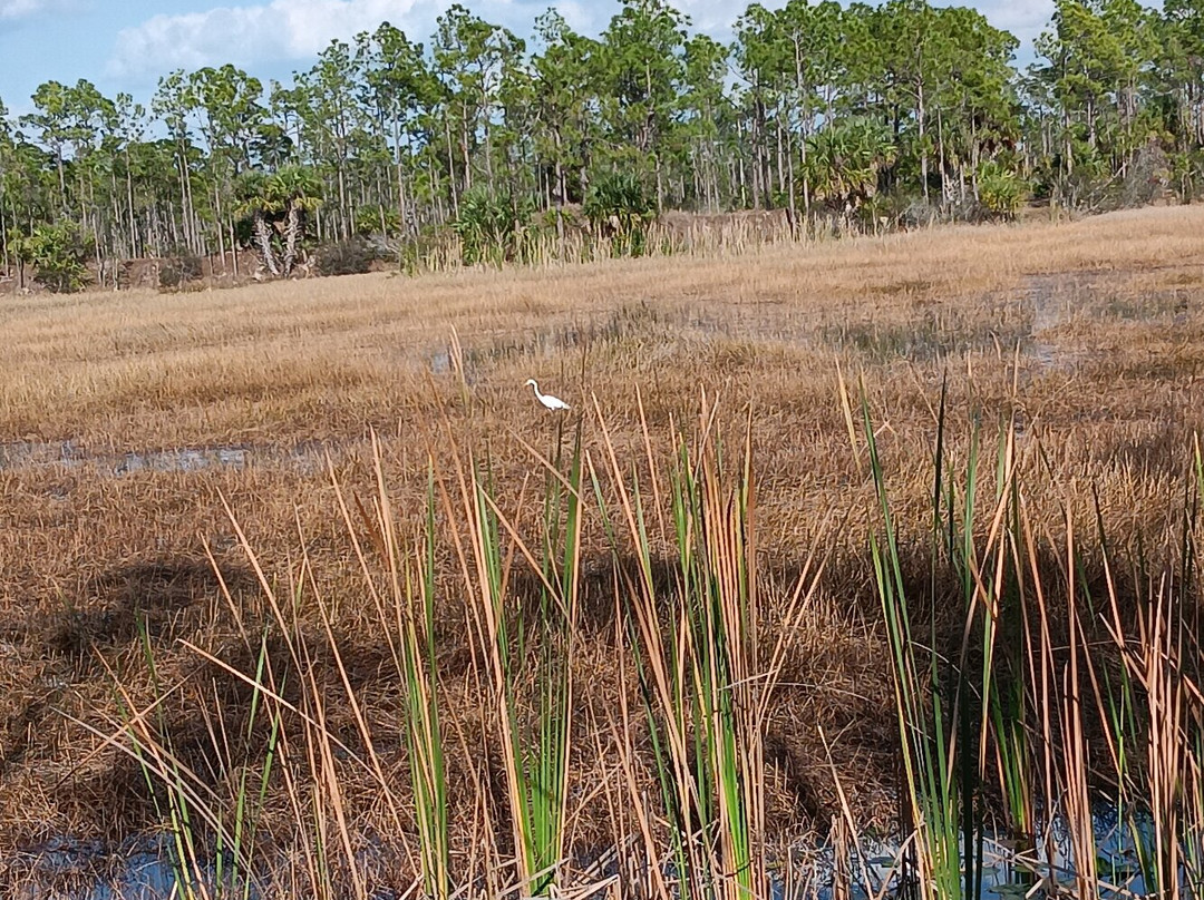 Charlotte Flatwoods Environmental Park