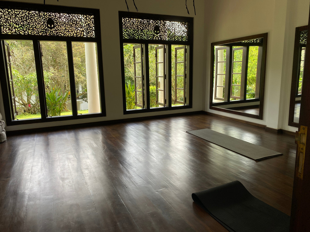 尼娅伽玛屋酒店主图