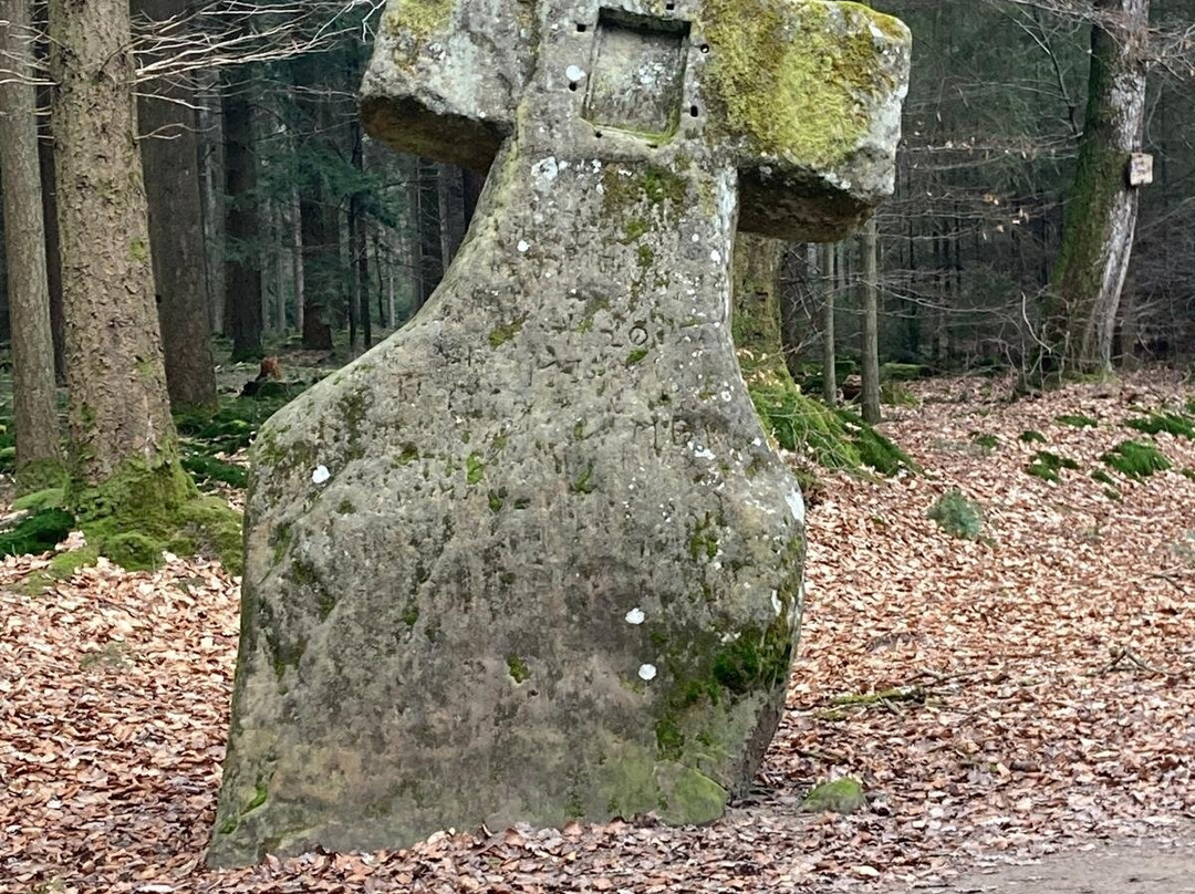 Landgasthaus Oberbillig主图