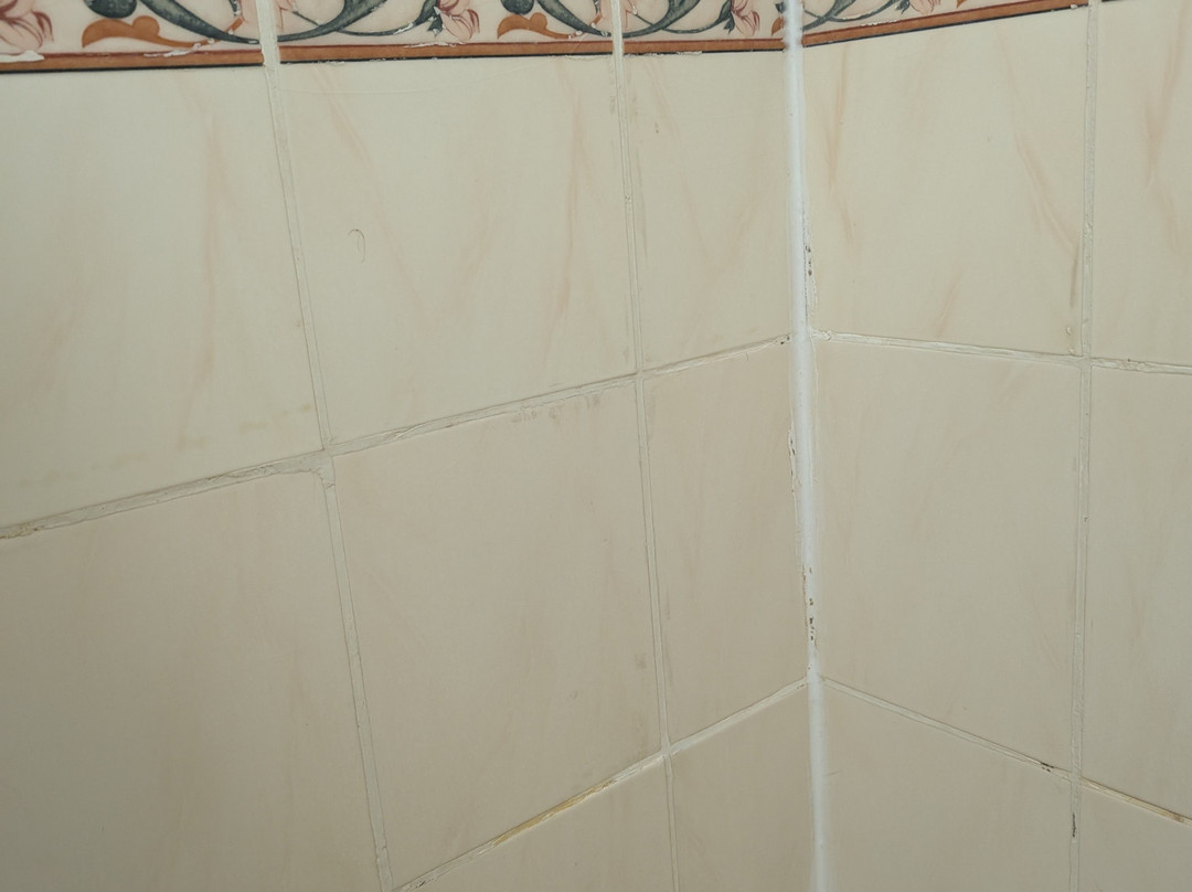 The Knoll Guesthouse主图