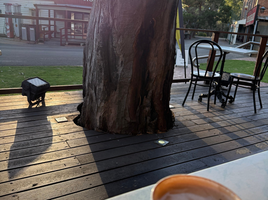 奥古斯塔夫人康福特茵酒店主图