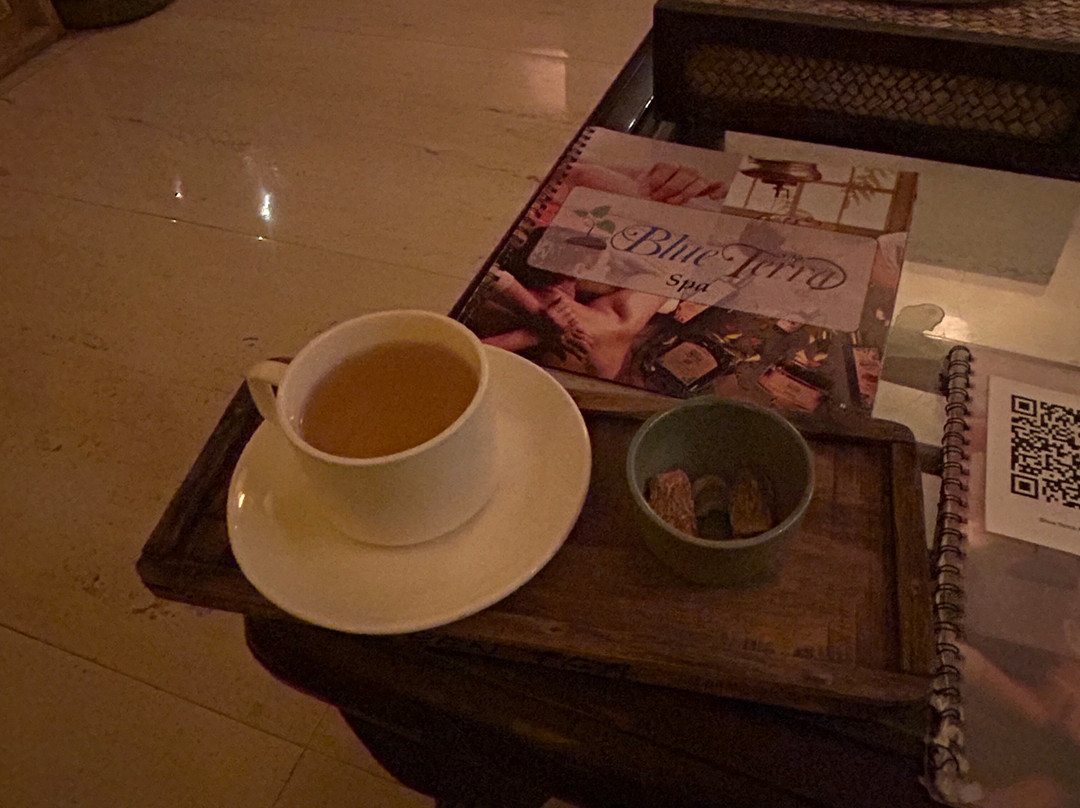 Blue Terra Spa Noida Sector 104景点图片