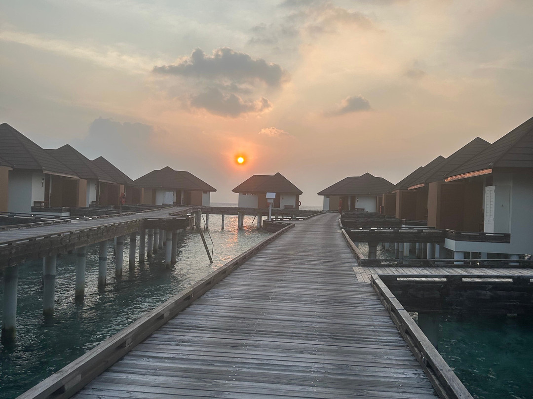 Varu By Atmosphere主图