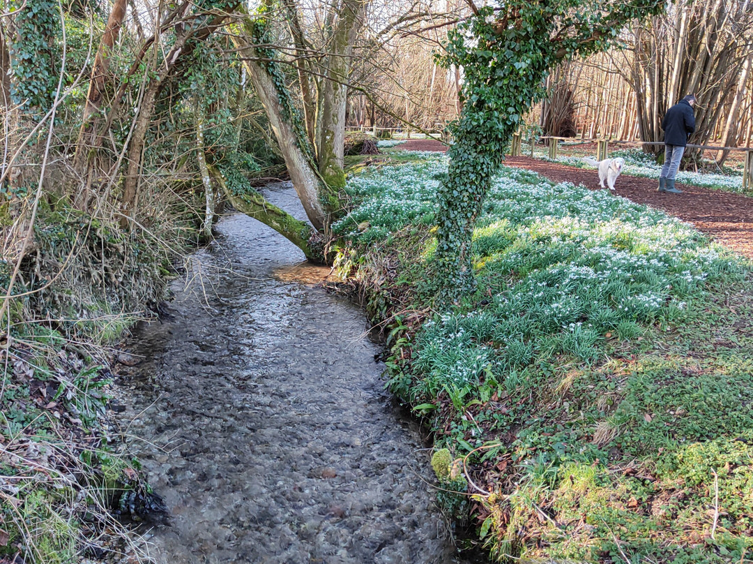 Welford Park-Wickham必去景点
