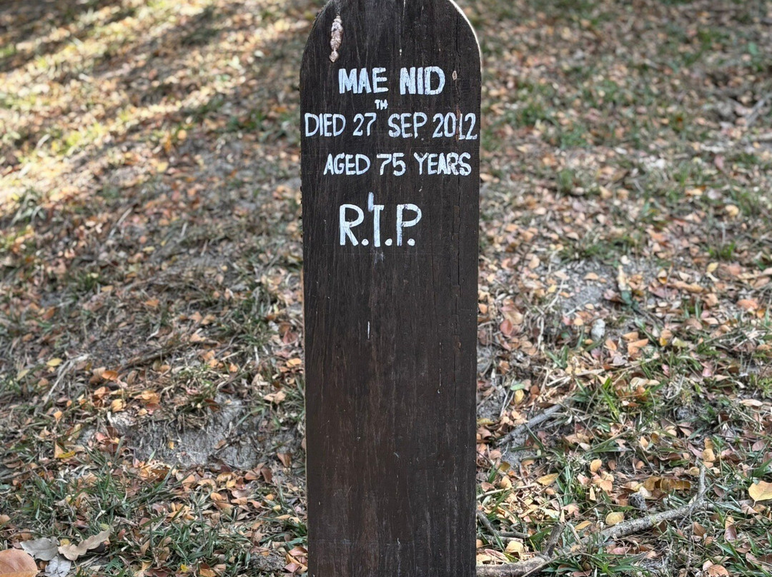 Thai Elephant Care Center-夜林必去景点