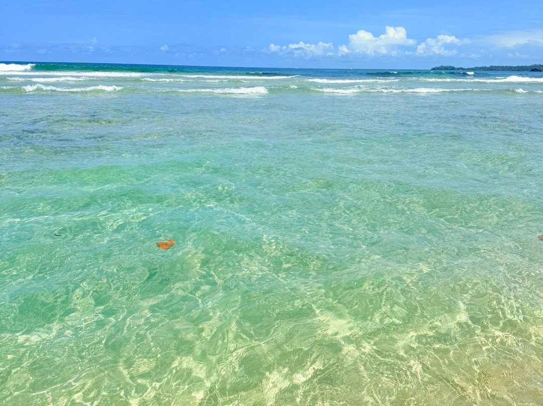 Wizard Beach景点图片