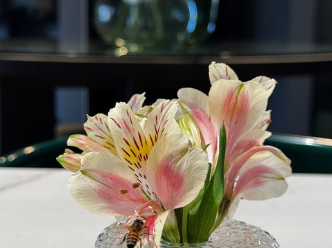 Buena Vida Coffee Roasters