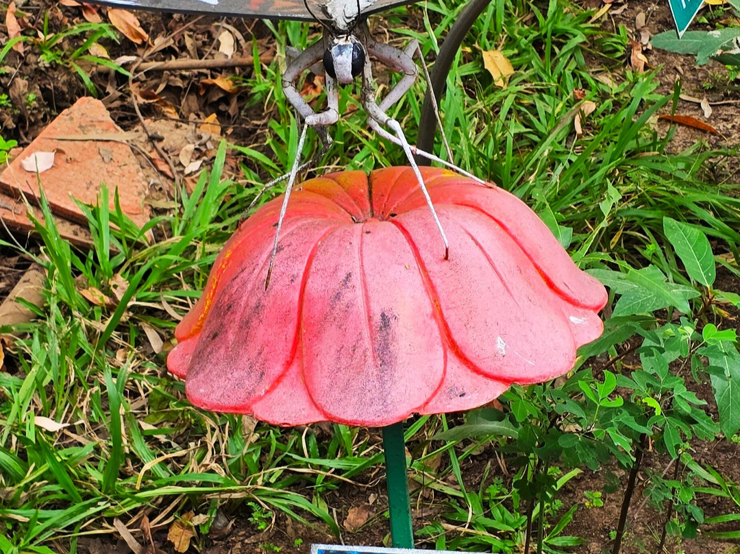 Butterfly Park-Khanvel必去景点