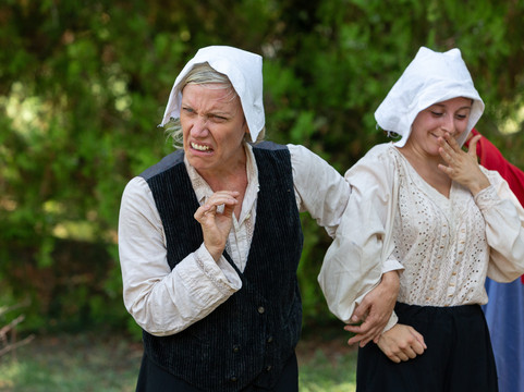 Wicked Wild Walks-普利茅斯必去景点