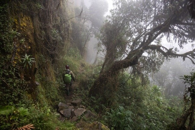 Mt. Elgon Hikes Uganda-Sipi必去景点