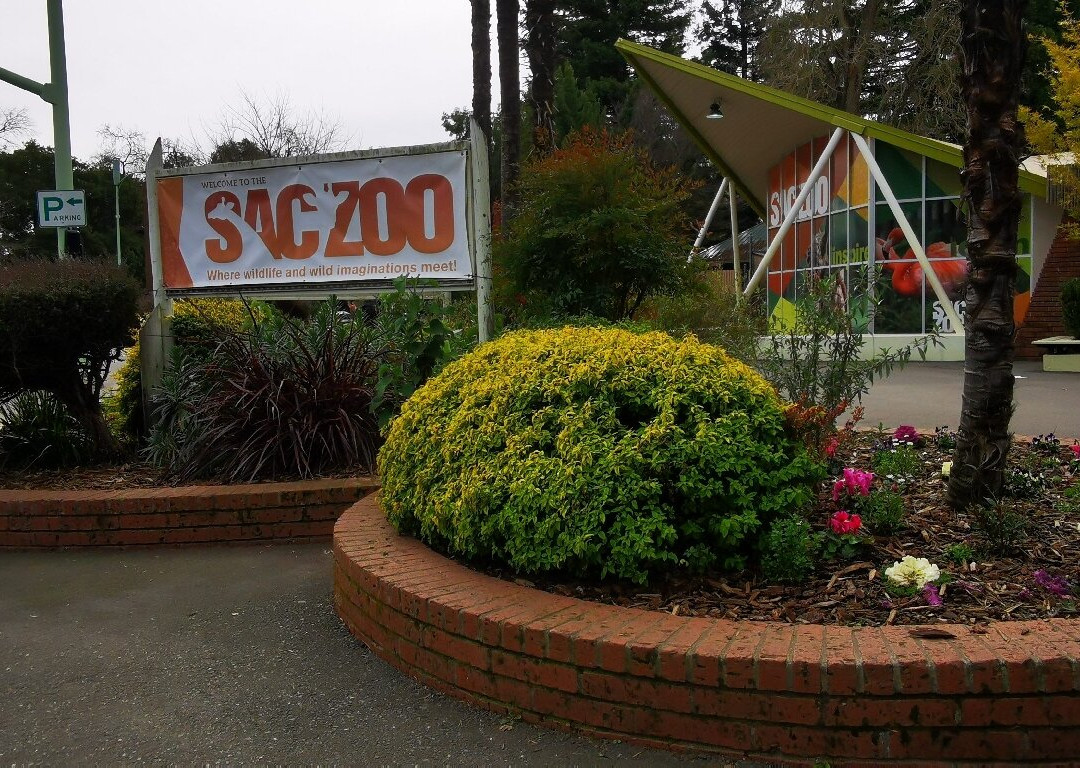 Sacramento Zoo-沙加缅度必去景点